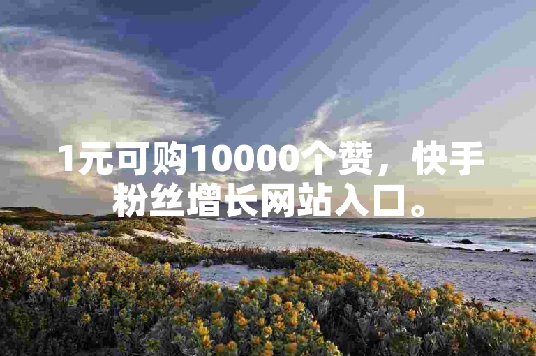 1元可购10000个赞，快手粉丝增长网站入口。