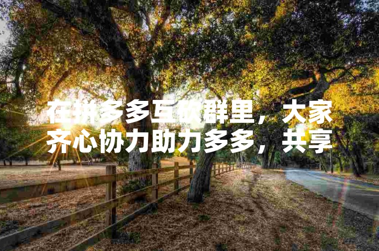在拼多多互砍群里，大家齐心协力助力多多，共享购物乐趣。