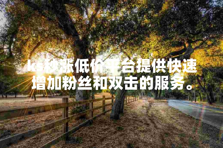 ks秒涨低价平台提供快速增加粉丝和双击的服务。