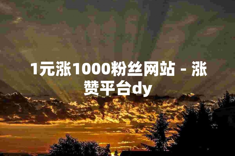 1元涨1000粉丝网站 - 涨赞平台dy