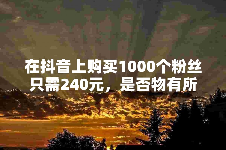 在抖音上购买1000个粉丝只需240元，是否物有所值？探索闪电云商城的ks业务专区，发现全网最低价下单平台的奥秘！