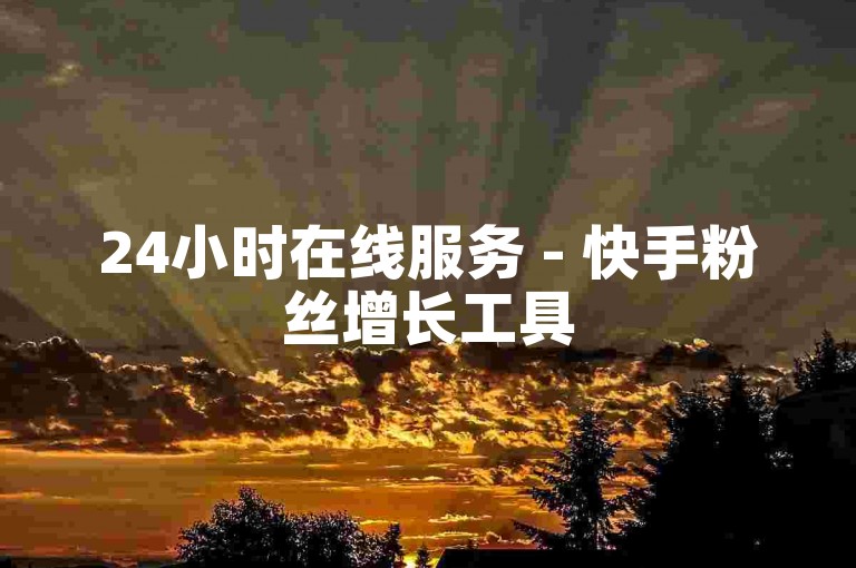 24小时在线服务 - 快手粉丝增长工具
