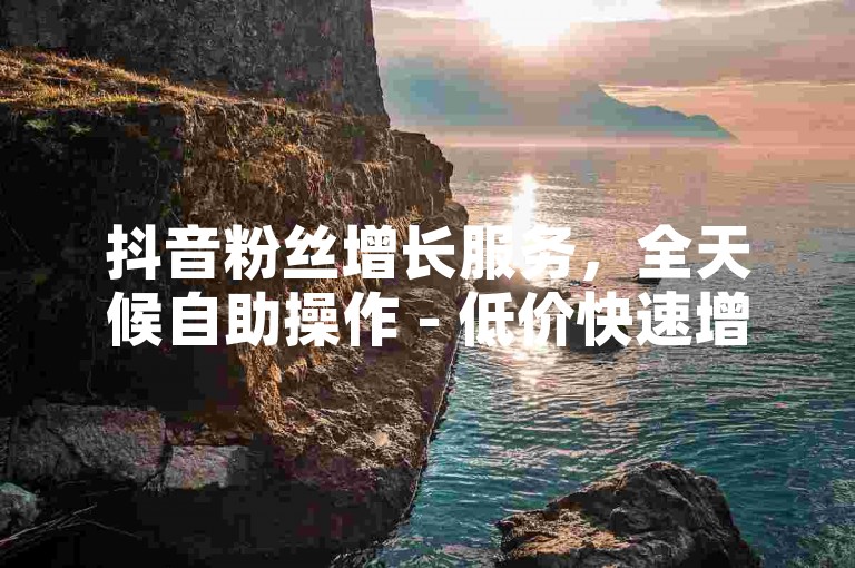 抖音粉丝增长服务，全天候自助操作 - 低价快速增粉平台
