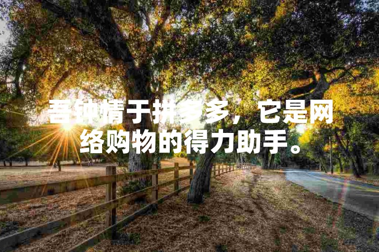 吾钟情于拼多多，它是网络购物的得力助手。