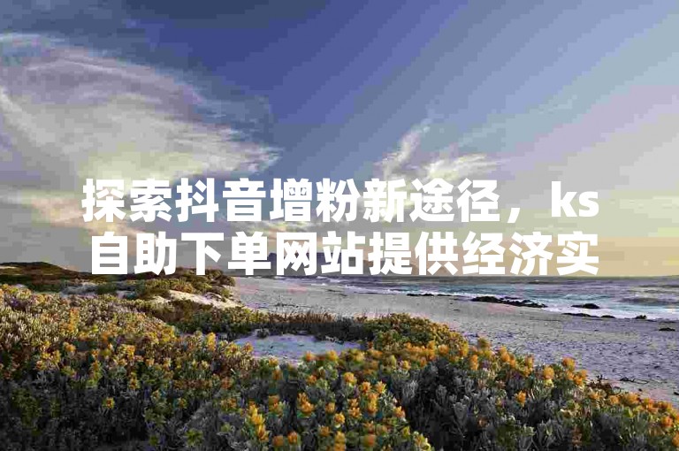 探索抖音增粉新途径，ks自助下单网站提供经济实惠的粉丝增长服务。
