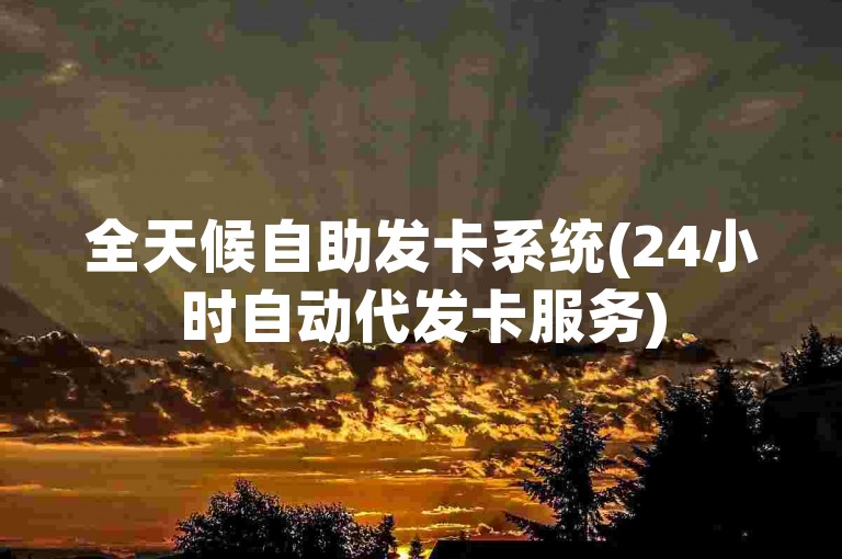 全天候自助发卡系统(24小时自动代发卡服务)