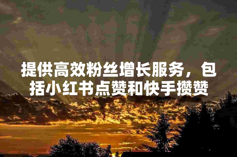 提供高效粉丝增长服务，包括小红书点赞和快手攒赞，价格实惠，助你快速提升影响力。