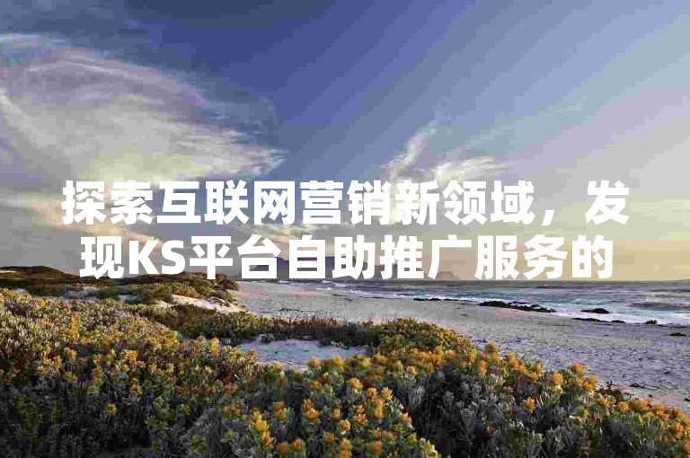 探索互联网营销新领域，发现KS平台自助推广服务的便捷与经济性，24小时不间断的双击服务，为您的快手内容增添无限曝光。