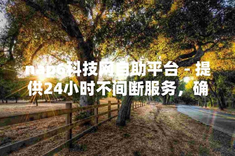 nap6科技网自助平台 - 提供24小时不间断服务，确保订单快速处理。
