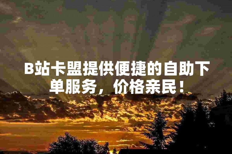 B站卡盟提供便捷的自助下单服务，价格亲民！