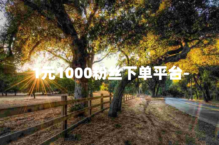 1元1000粉丝下单平台-5000粉丝推广价格