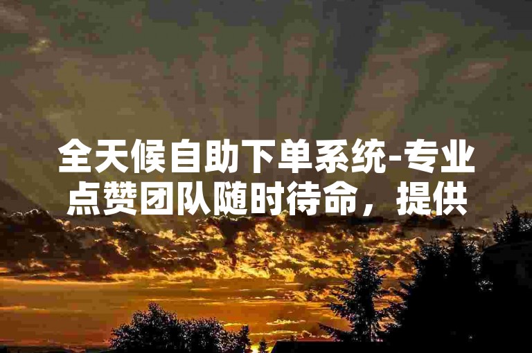 全天候自助下单系统-专业点赞团队随时待命，提供不间断的点赞下单服务。