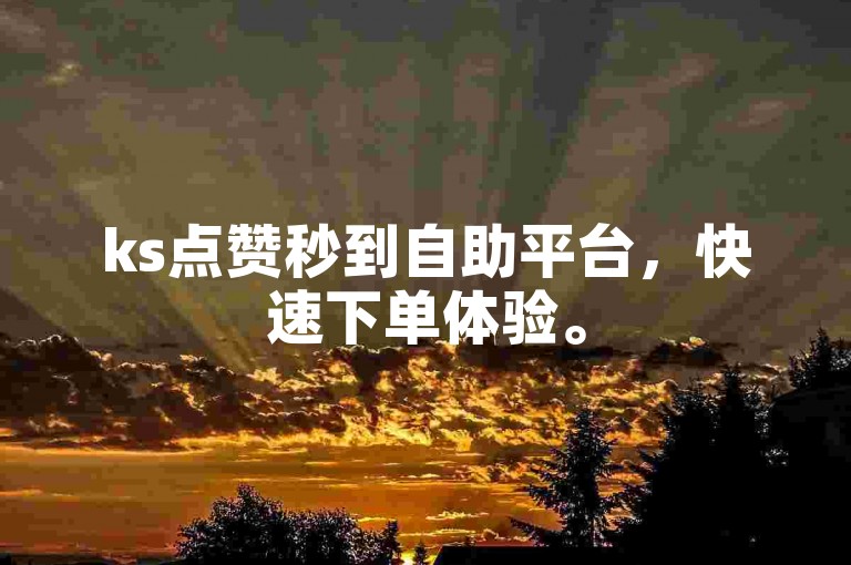 ks点赞秒到自助平台，快速下单体验。