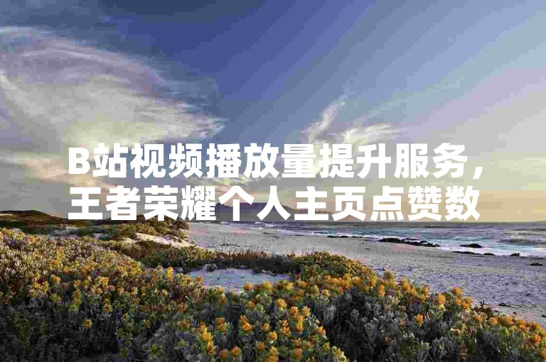 B站视频播放量提升服务，王者荣耀个人主页点赞数增长平台高效。