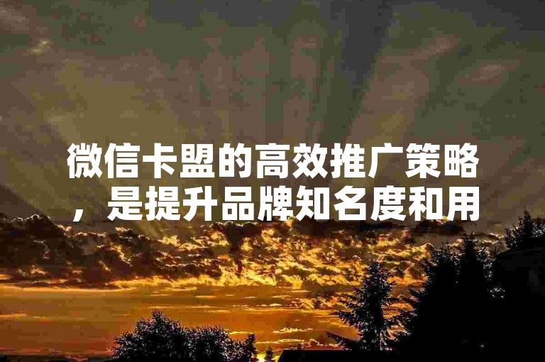 微信卡盟的高效推广策略，是提升品牌知名度和用户粘性的关键所在。