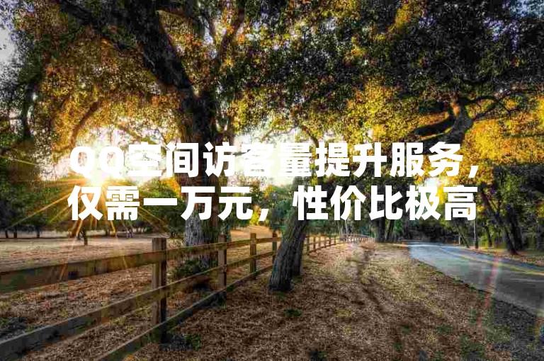 QQ空间访客量提升服务，仅需一万元，性价比极高！