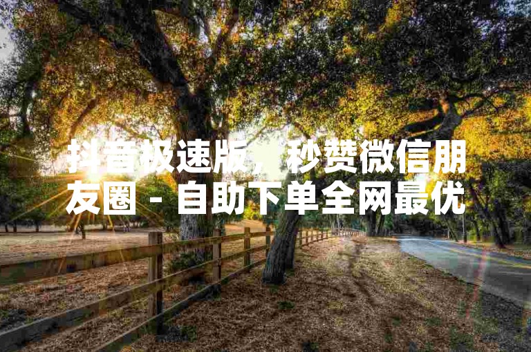 抖音极速版，秒赞微信朋友圈 - 自助下单全网最优惠 - 转转自助下单2024官方紧急辟谣！