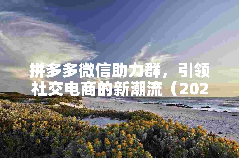 拼多多微信助力群，引领社交电商的新潮流（2025前瞻）。