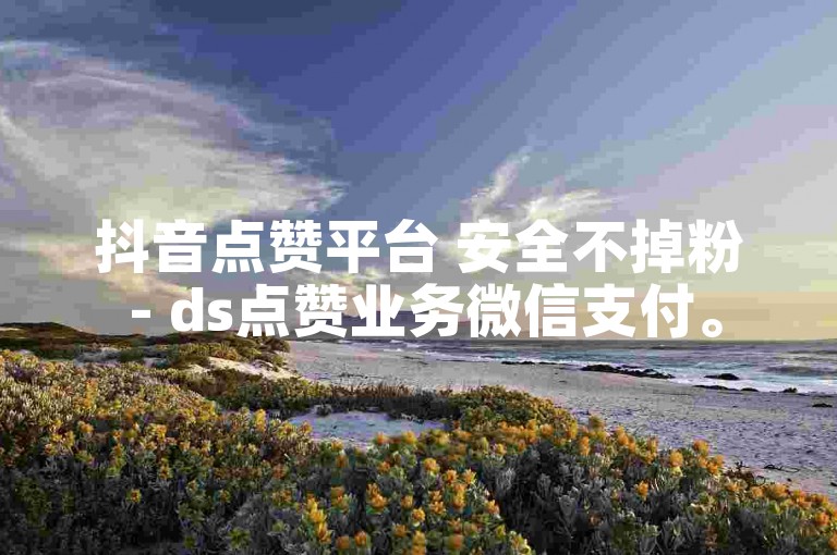 抖音点赞平台 安全不掉粉 - ds点赞业务微信支付。