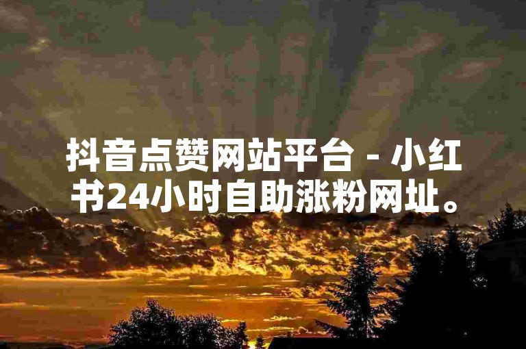 抖音点赞网站平台 - 小红书24小时自助涨粉网址。