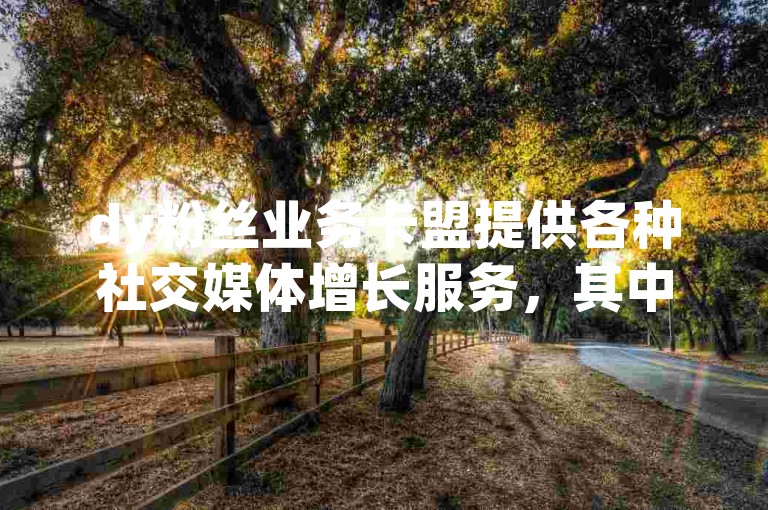 dy粉丝业务卡盟提供各种社交媒体增长服务，其中粉丝卡是用于快速增加账号关注者数量的一种工具。