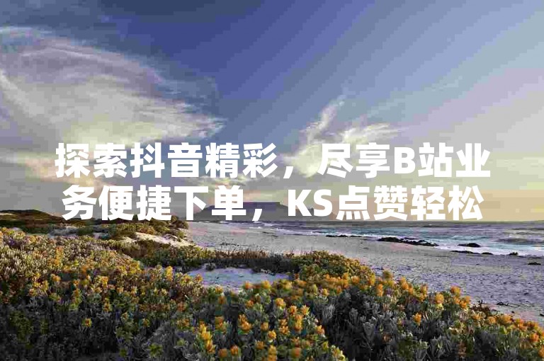 探索抖音精彩，尽享B站业务便捷下单，KS点赞轻松自助。