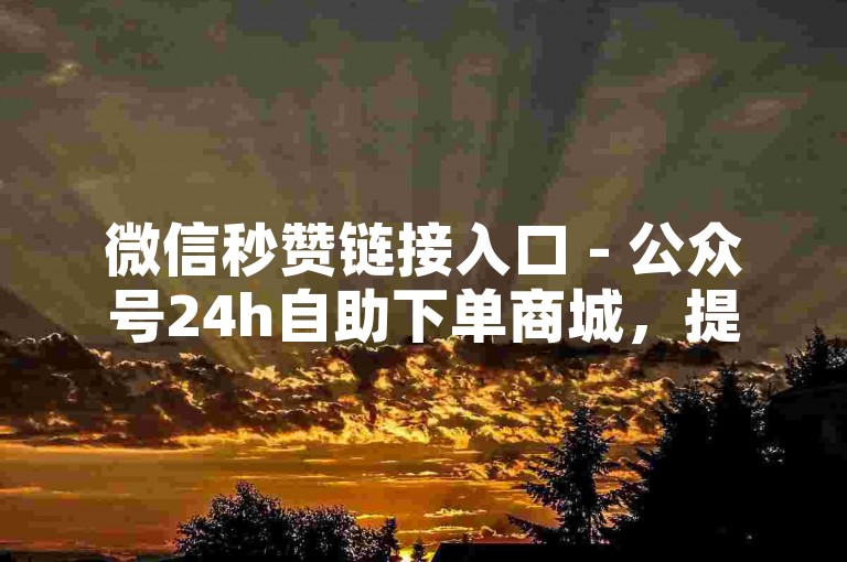 微信秒赞链接入口 - 公众号24h自助下单商城，提供便捷的点赞服务。