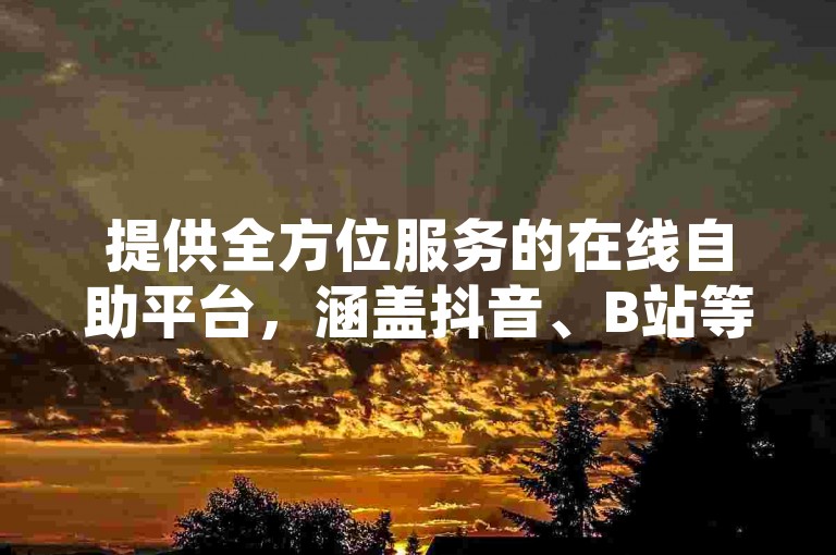 提供全方位服务的在线自助平台，涵盖抖音、B站等社交媒体业务，24小时不间断免费下单，确保用户体验高效便捷。