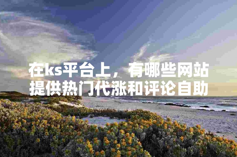 在ks平台上，有哪些网站提供热门代涨和评论自助业务下单服务？