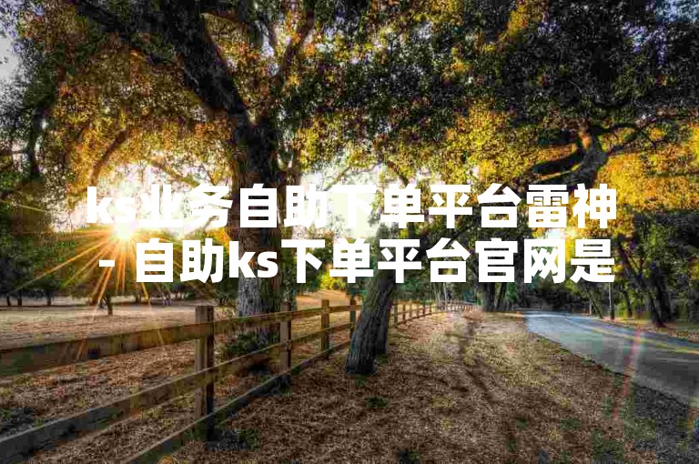 ks业务自助下单平台雷神 - 自助ks下单平台官网是一个便捷的在线服务平台。