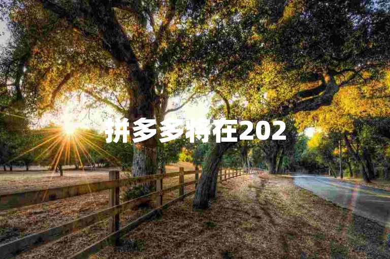 拼多多将在2025年国庆期间推出多多助力网站，为用户提供互帮团服务。