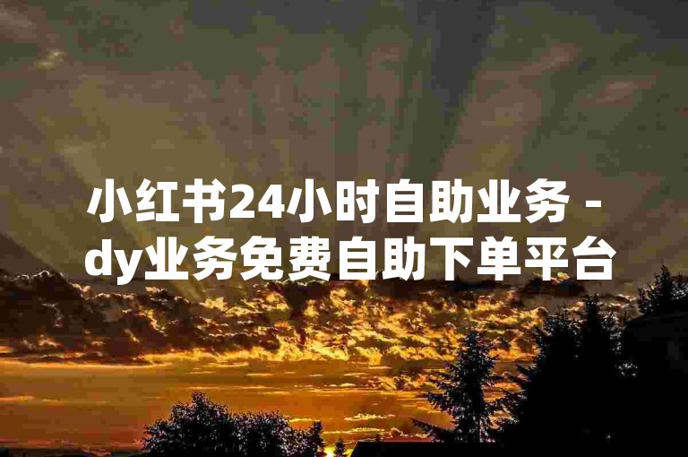 小红书24小时自助业务 - dy业务免费自助下单平台下载，提供便捷的服务体验。