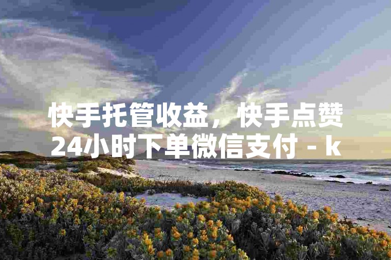 快手托管收益，快手点赞24小时下单微信支付 - ks自助下单商城 - 冰点卡盟微利也疯狂！