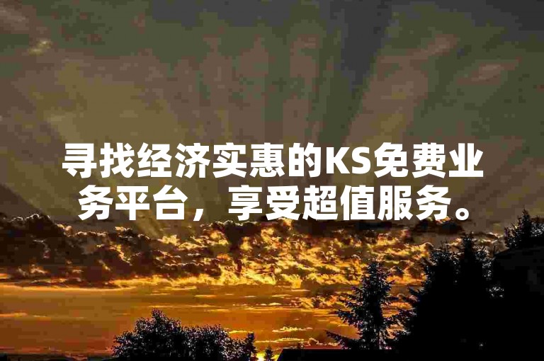 寻找经济实惠的KS免费业务平台，享受超值服务。