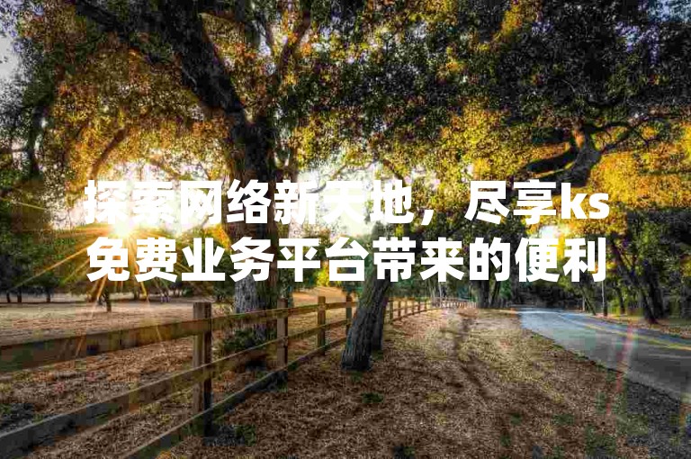 探索网络新天地，尽享ks免费业务平台带来的便利，体验抖音自动访客软件的魅力，参与拼多多现金大转盘助力活动，轻松获取qq访问量免费领的惊喜。
