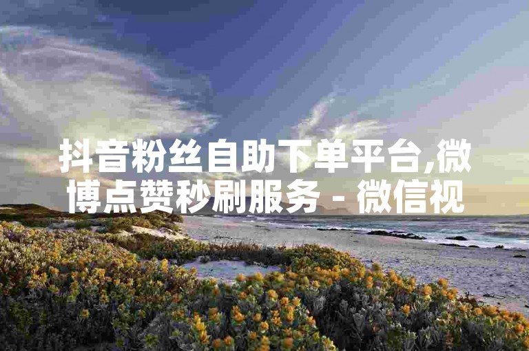 抖音粉丝自助下单平台,微博点赞秒刷服务 - 微信视频号评论点赞1元100个 - B站播放量提升工具网址。