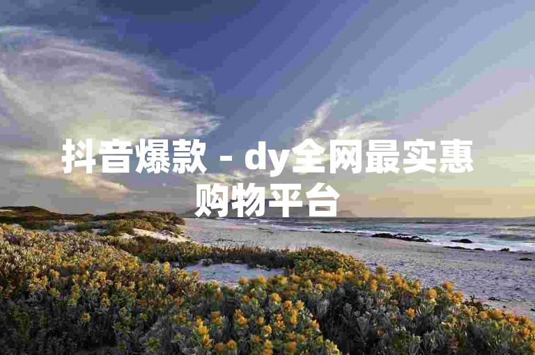 抖音爆款 - dy全网最实惠购物平台