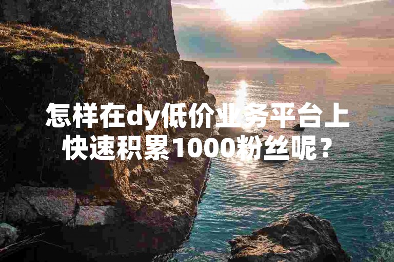 怎样在dy低价业务平台上快速积累1000粉丝呢？