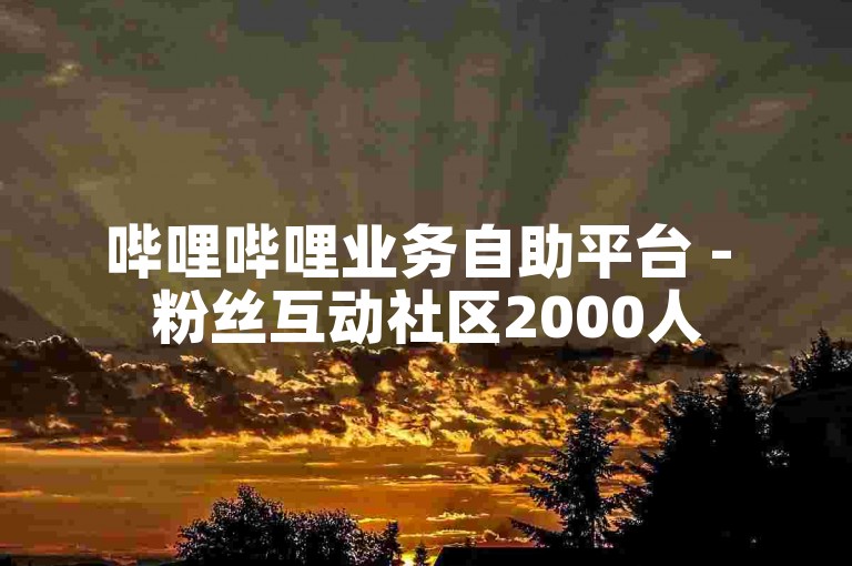 哔哩哔哩业务自助平台 - 粉丝互动社区2000人