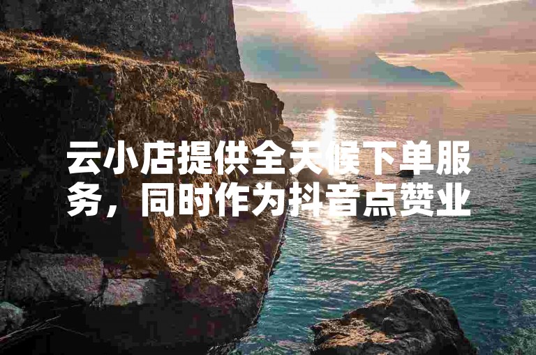 云小店提供全天候下单服务，同时作为抖音点赞业务的代理平台。