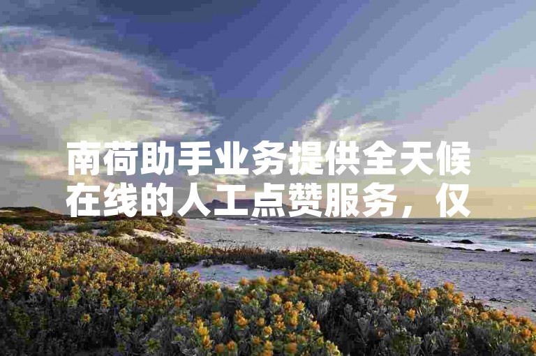 南荷助手业务提供全天候在线的人工点赞服务，仅需1元即可获得100赞。
