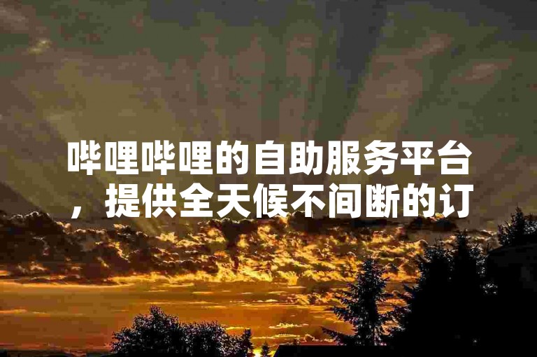 哔哩哔哩的自助服务平台，提供全天候不间断的订单处理功能。