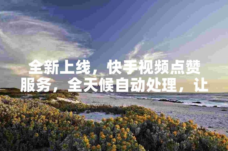 全新上线，快手视频点赞服务，全天候自动处理，让您的短视频轻松获得更多关注和人气！