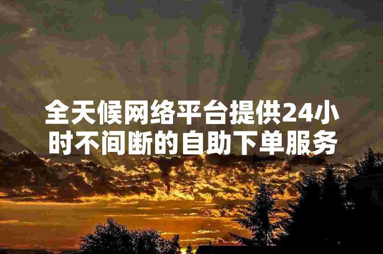 全天候网络平台提供24小时不间断的自助下单服务，确保用户能以最低价格随时购买所需商品。