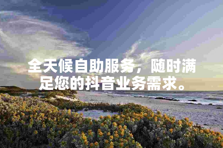 全天候自助服务，随时满足您的抖音业务需求。
