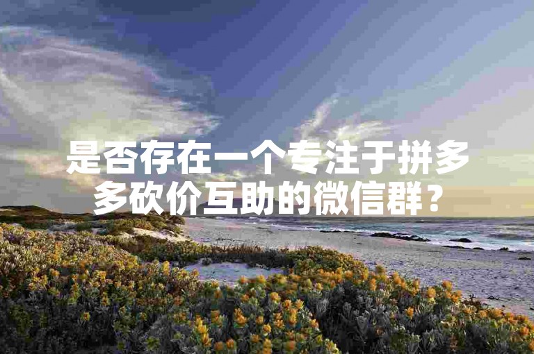 是否存在一个专注于拼多多砍价互助的微信群？