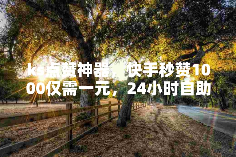 ks点赞神器，快手秒赞1000仅需一元，24小时自助服务，免费下单体验。