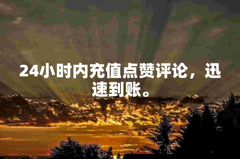24小时内充值点赞评论，迅速到账。