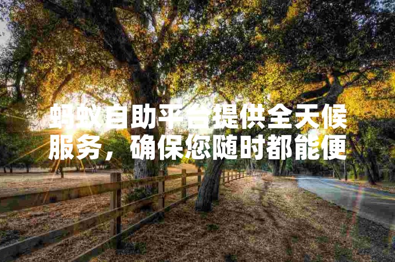蚂蚁自助平台提供全天候服务，确保您随时都能便捷下单。