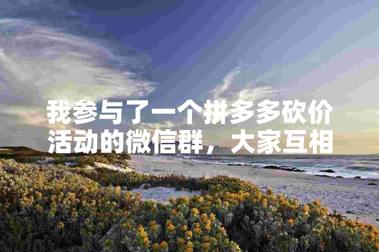 我参与了一个拼多多砍价活动的微信群，大家互相帮助免费拿商品。